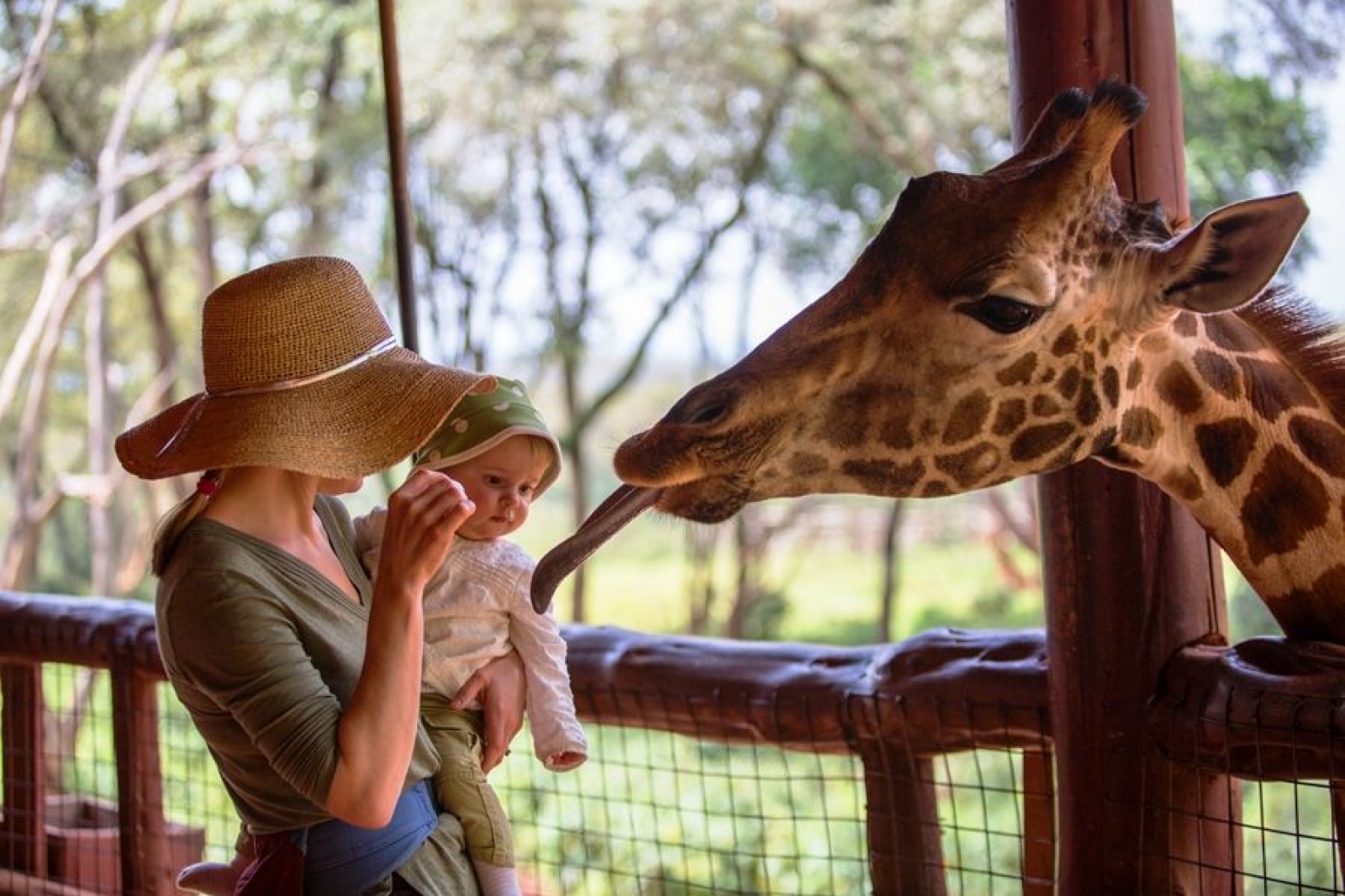 Kenya’da Safari, Konfor ve Vahşi Doğa Bir Arada 