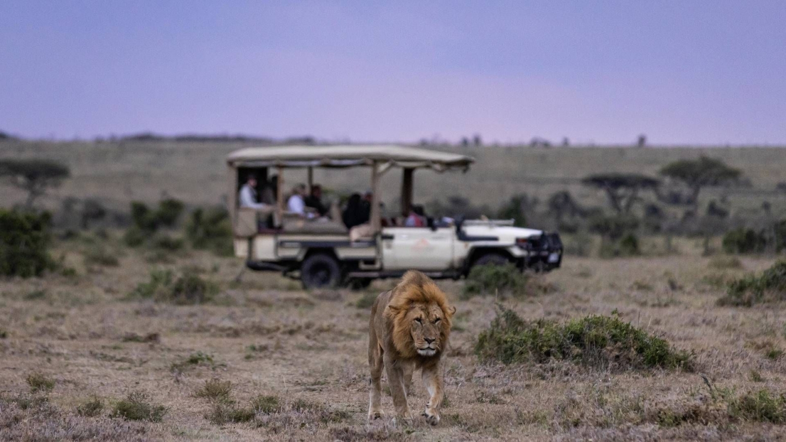 Kenya’da Safari, Konfor ve Vahşi Doğa Bir Arada 