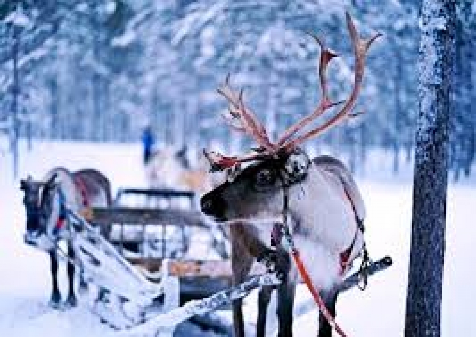 Al Ula Turu (Minimum 2 kişi) 