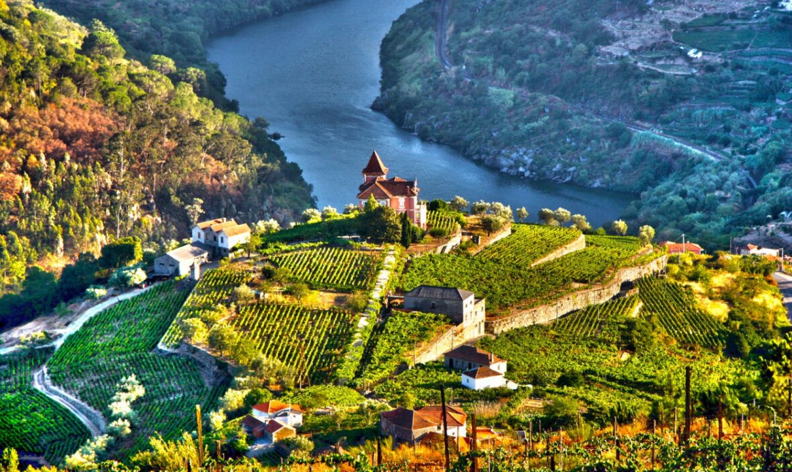 Lizbon ve Çevresi|*|Algarve|*|Coimbra|*|Douro Vadisi |*|Porto|*|Sintra|*|Azores|*|Madeira