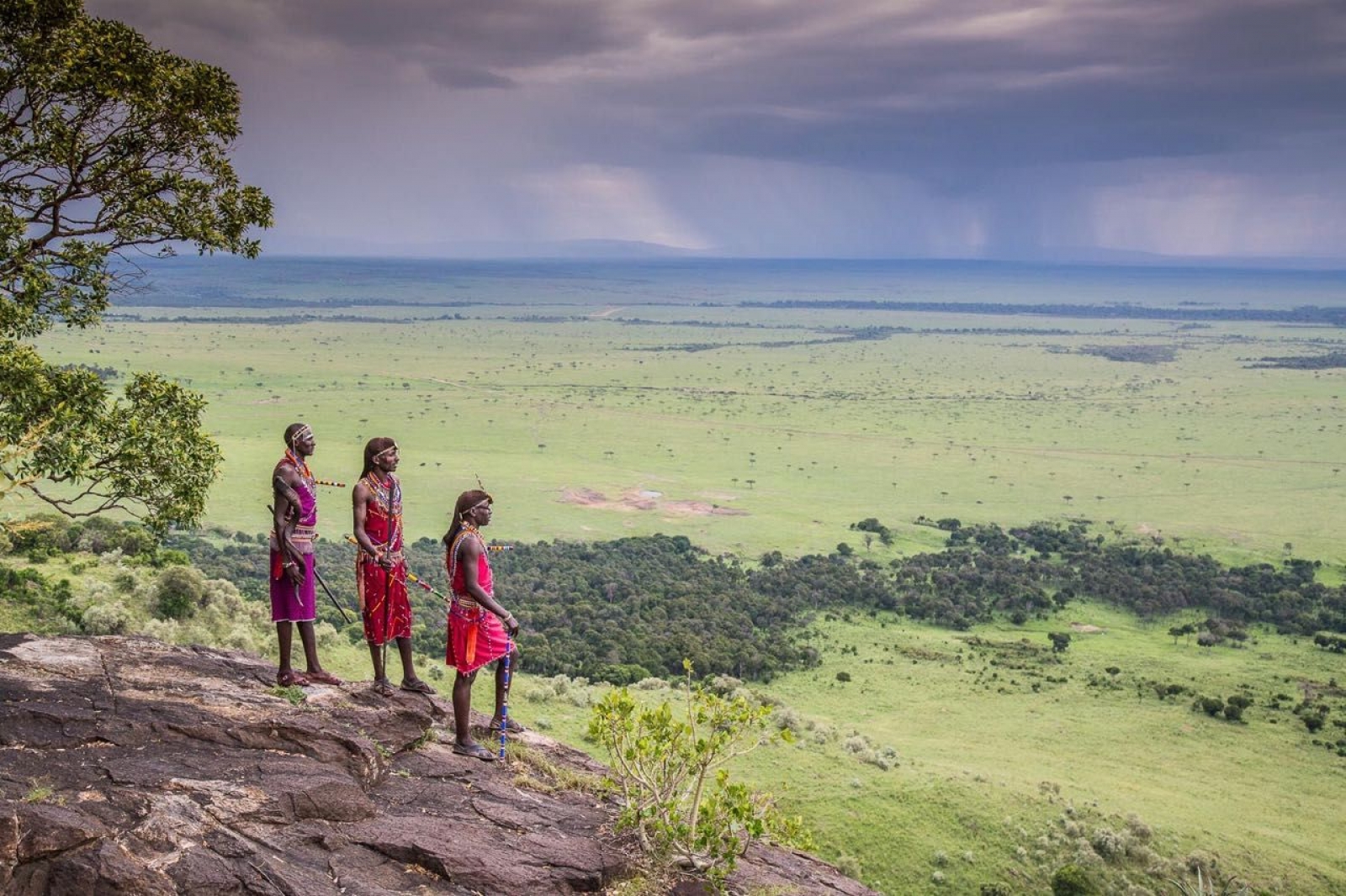 Kenya’da Safari, Konfor ve Vahşi Doğa Bir Arada 