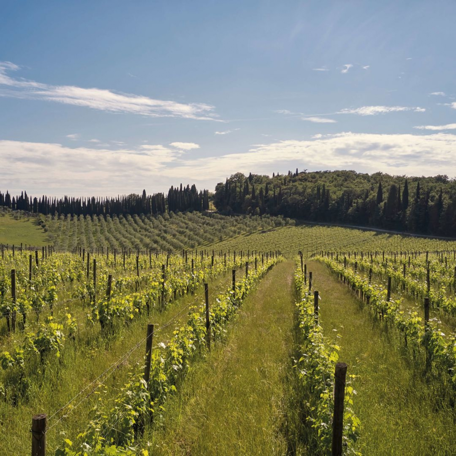 22-26 Nisan Toskana Gezisi 